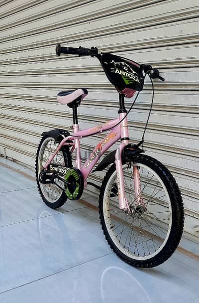 santoza bicycle 20