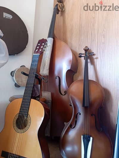 double bass cello and violin are available