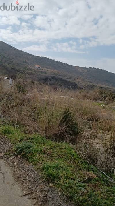 ارض  للبيع في الرملية عاليه  land for sale in ramlye aley