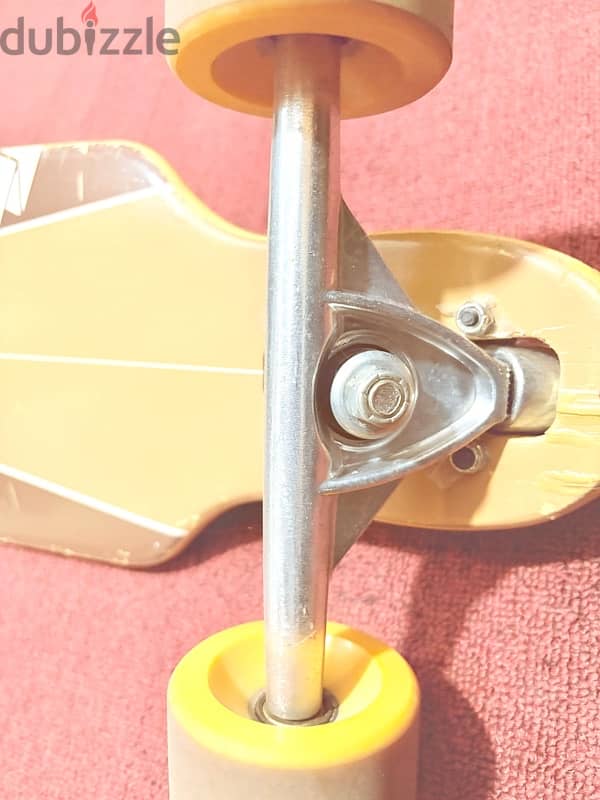 Longboard Roces 3