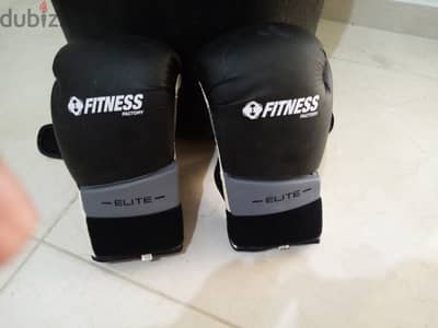 Boxing bag & gloves for sale.