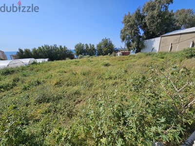 RWB274EA - Land for rent in Jbeil