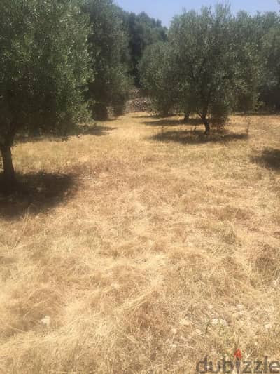 land 9500sqm for sale in deir El kamar