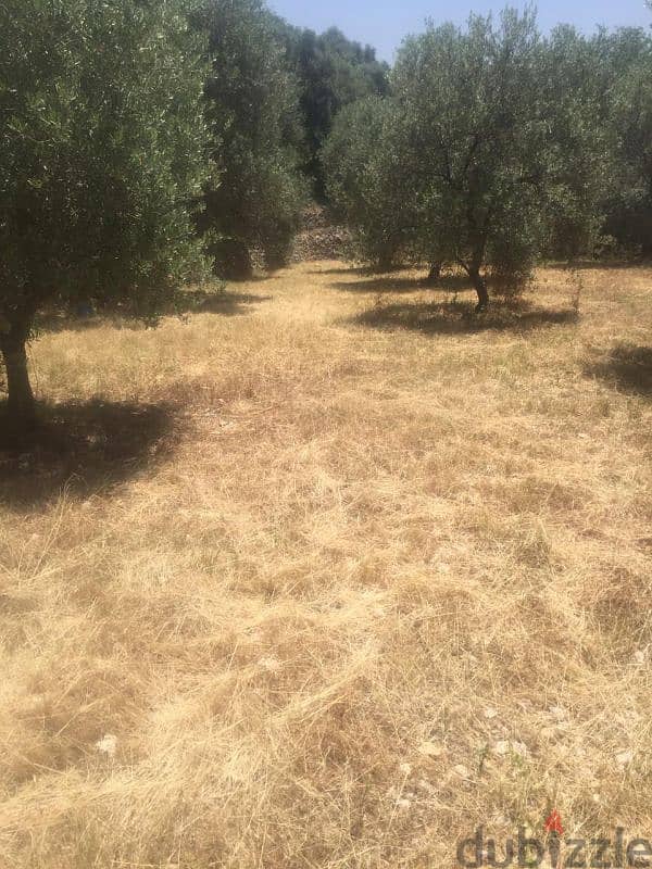 land 9500sqm for sale in deir El kamar 0