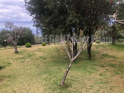 Land for Sale | Sea View | Flat | Aalita - Halat