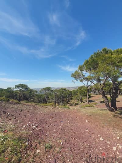 Land for sale in Baskinta