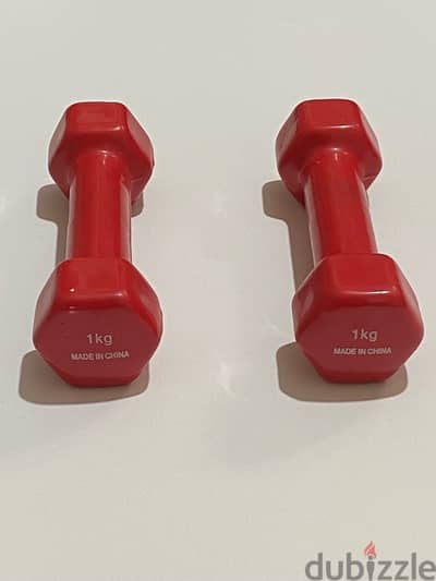 1Kg Dumbell