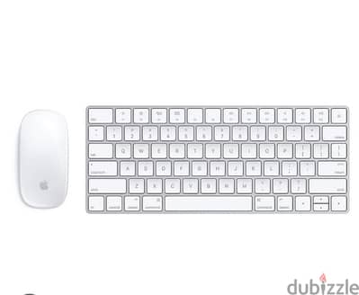 Apple Keyboard and mouse