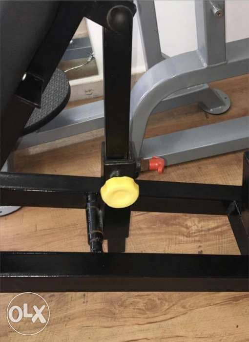 Adjustable professional Bench 1