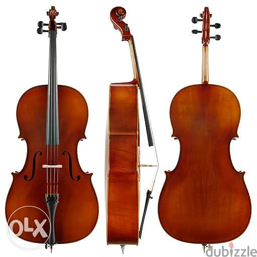 تشكيله مميزه من الكمنجات و viola 2