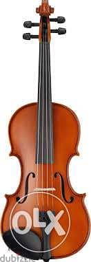 تشكيله مميزه من الكمنجات و viola 4