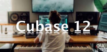 Original Cubase pro 12 full package available now,Best price worldwide
