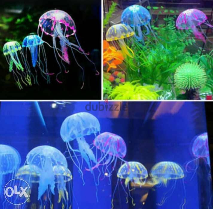 Magical luminous aquarium jellyfish 1