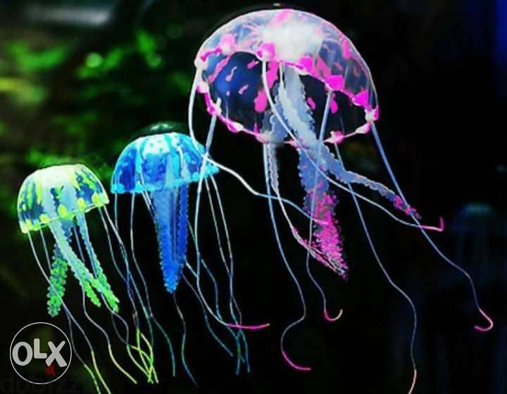 Magical luminous aquarium jellyfish 0
