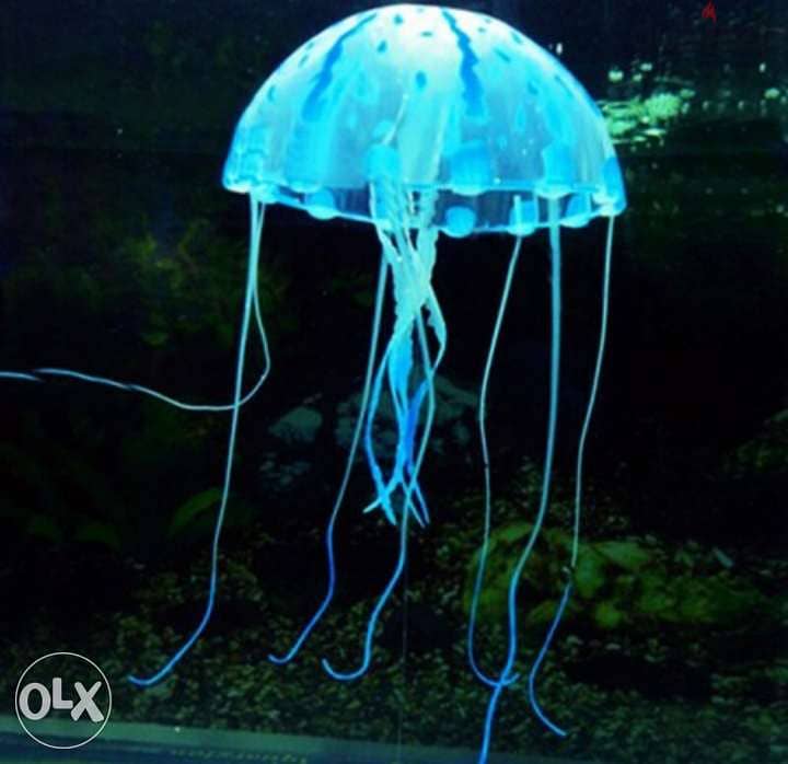 Magical luminous aquarium jellyfish 2
