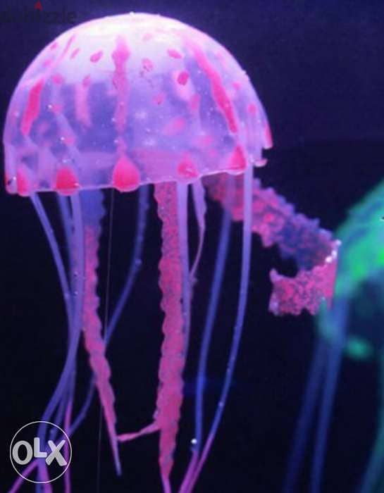 Magical luminous aquarium jellyfish 4