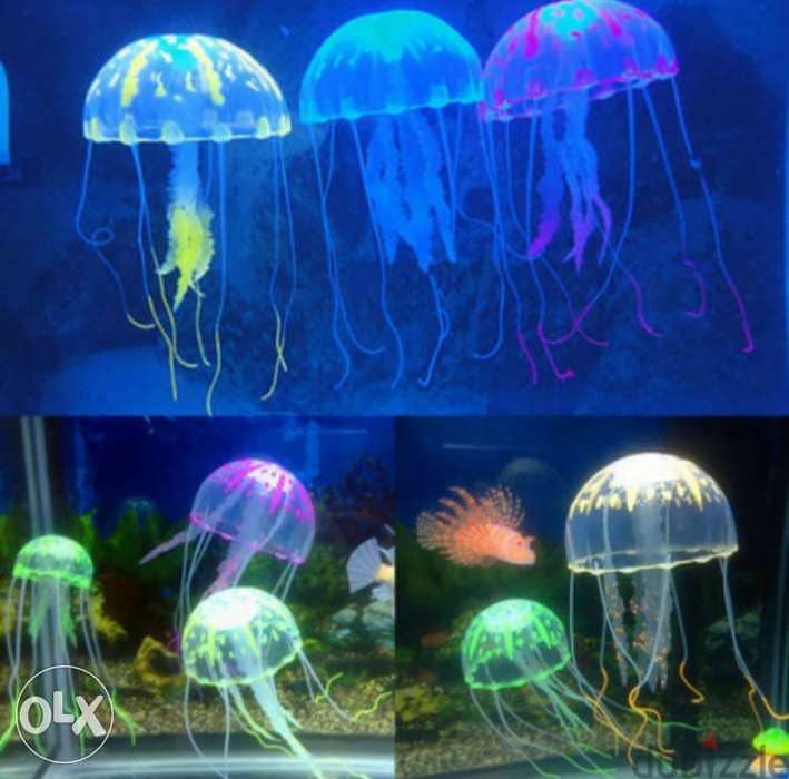 Magical luminous aquarium jellyfish 5