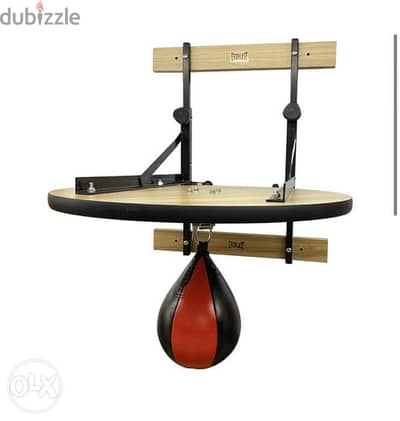 everlast adjustable speed bag