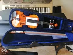 violin with all accessories best quality