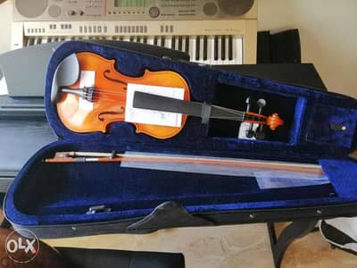 violin