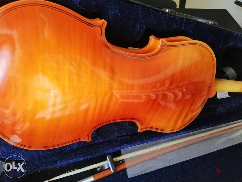 violin with all accessories best quality 2