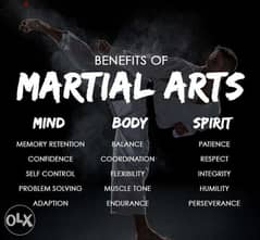 Learn martial arts and protect yourself and your familly