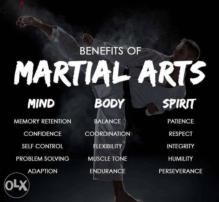 Learn martial arts and protect yourself and your familly 0