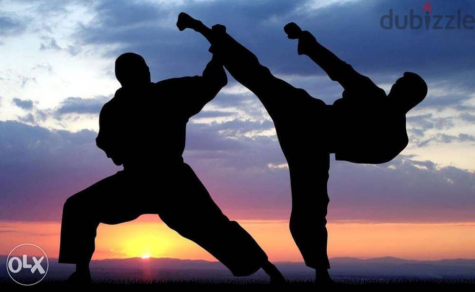 Learn martial arts and protect yourself and your familly 2