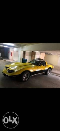 Corvette Stingray 1979 0