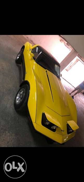 Corvette Stingray 1979 2