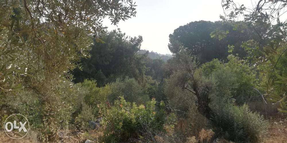 L08265 - Unique Land for Sale in Roumie with a Splendid View 2