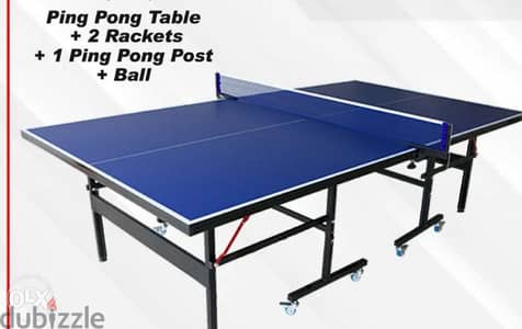 Ping pong table