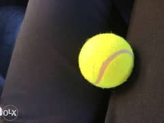 new tennis ball 0