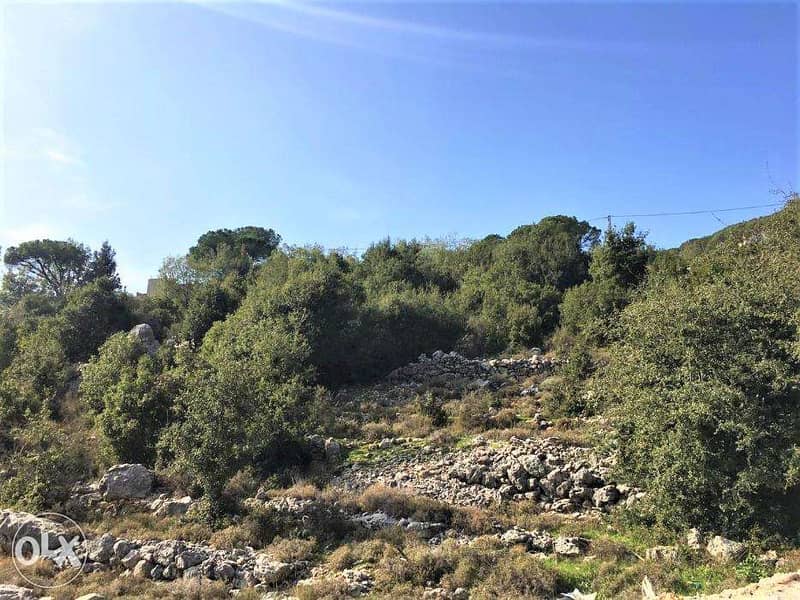 OUTSTANDING LAND in Ajaltoun with STUNNING View أرض في عجلتون 4