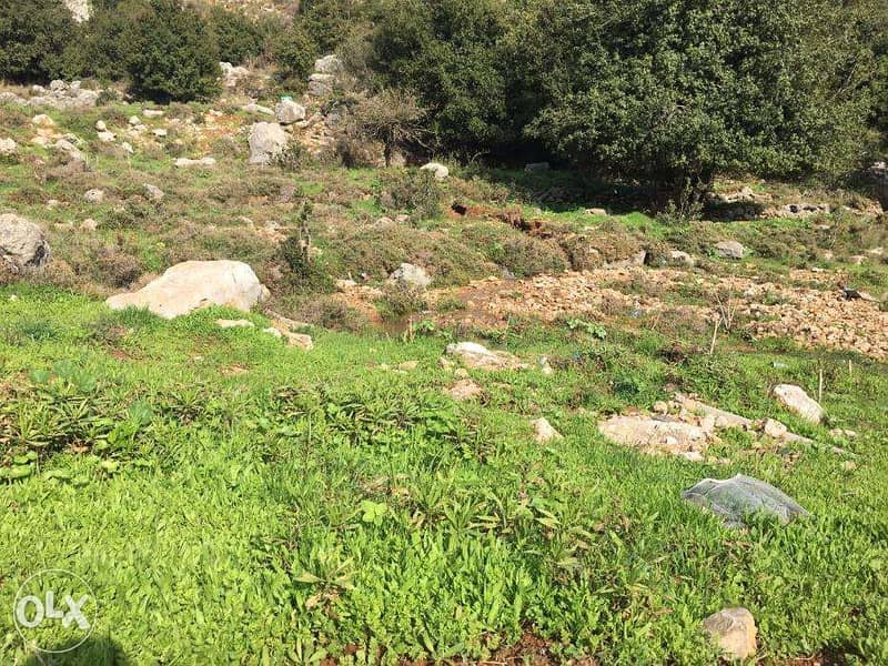 OUTSTANDING LAND in Ajaltoun with STUNNING View أرض في عجلتون 2