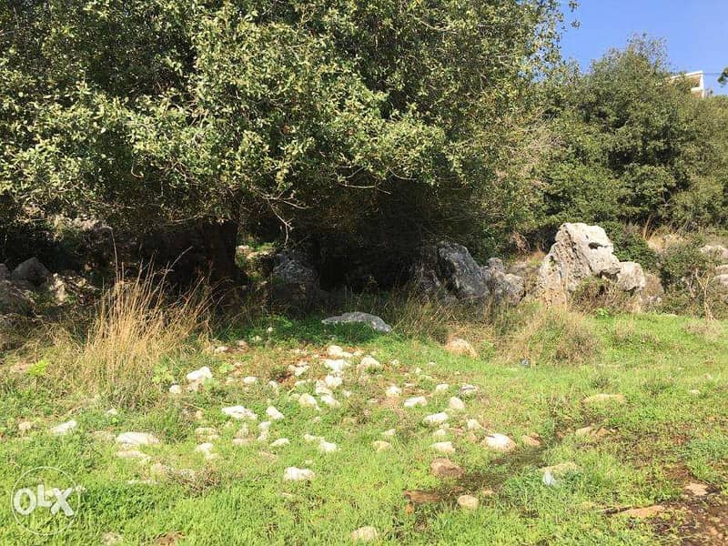 OUTSTANDING LAND in Ajaltoun with STUNNING View أرض في عجلتون 5