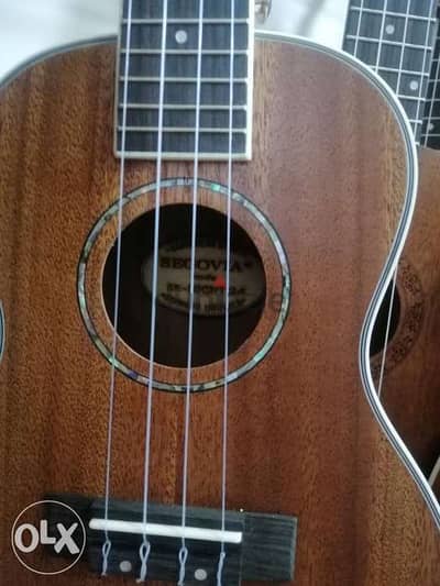 Ukulele 23"