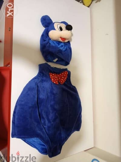 Halloween berbara costume mickeyy worn once _marketRate like new