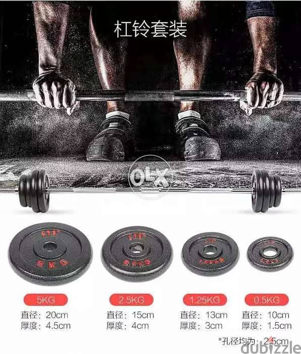 Iron 2025 dumbbells olx