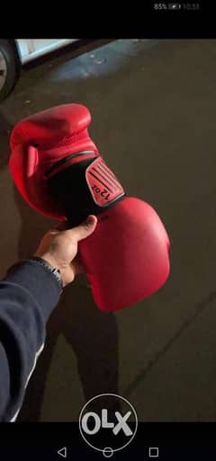 Brand new boxing gloves 12 oz 0