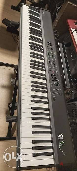 Portable Electric piano professional