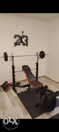 Bench only, Like New " BODY SYSTEM " professional Incline and Decline 0