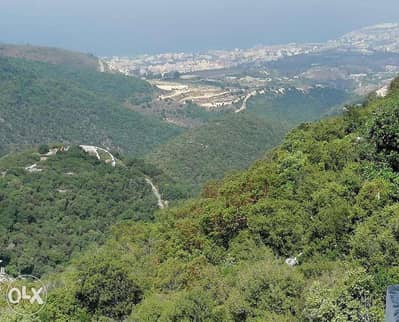 L08396- Land for Sale in a New Zone in Braij Jbeil