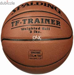 Spalding TF trainer weighted ball