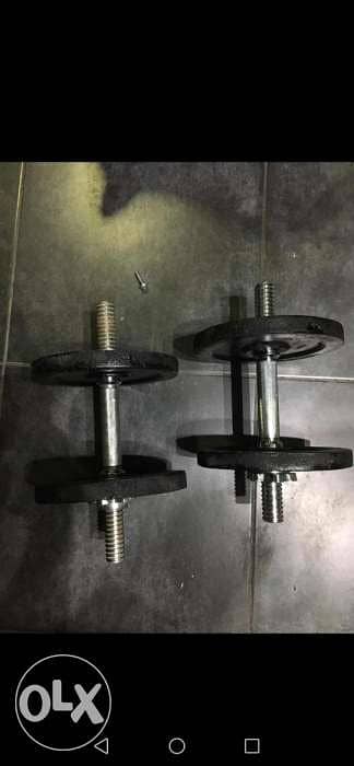 28 kg dumbbells for 40 dollar