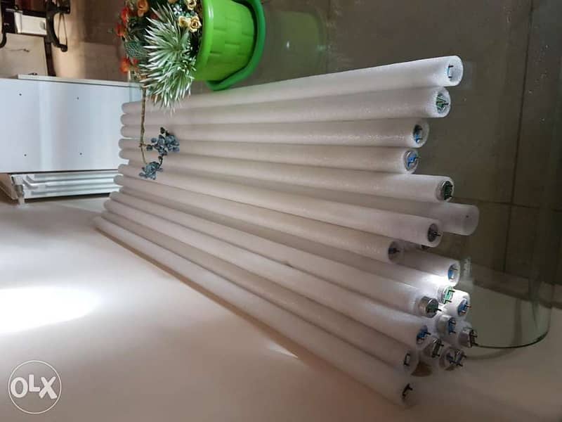 20 Light bulbs 36 w 120 cm 2