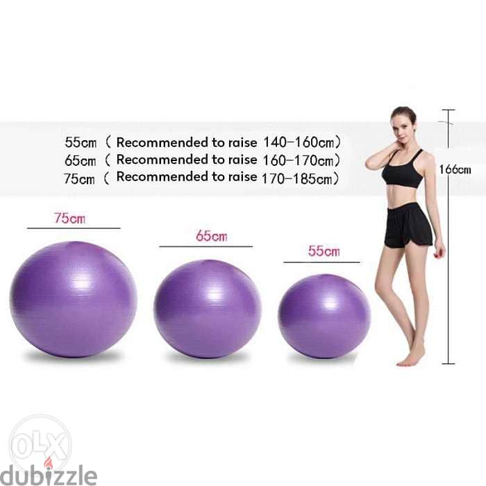 Gym balls 55cm/65cm/75cm/85cm 3