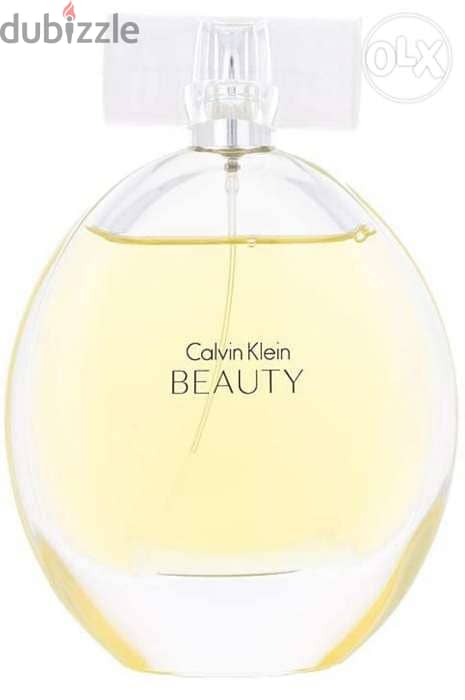 Calvin Klein Ck Beauty Eau de Parfum for Women,100 ml 0