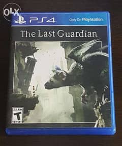 The Last Guardian 0