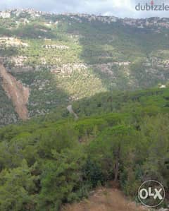 1620 Sqm | Land Qortadah | Mountain view